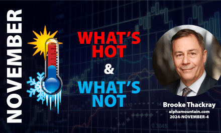 Video – WHAT’S HOT & WHAT’S NOT- NOVEMBER 2024