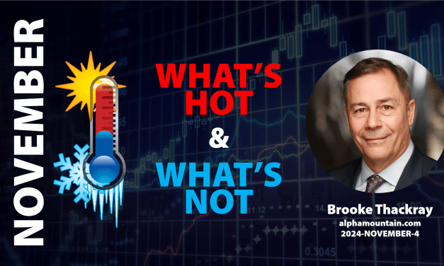 Video – WHAT’S HOT & WHAT’S NOT- NOVEMBER 2024